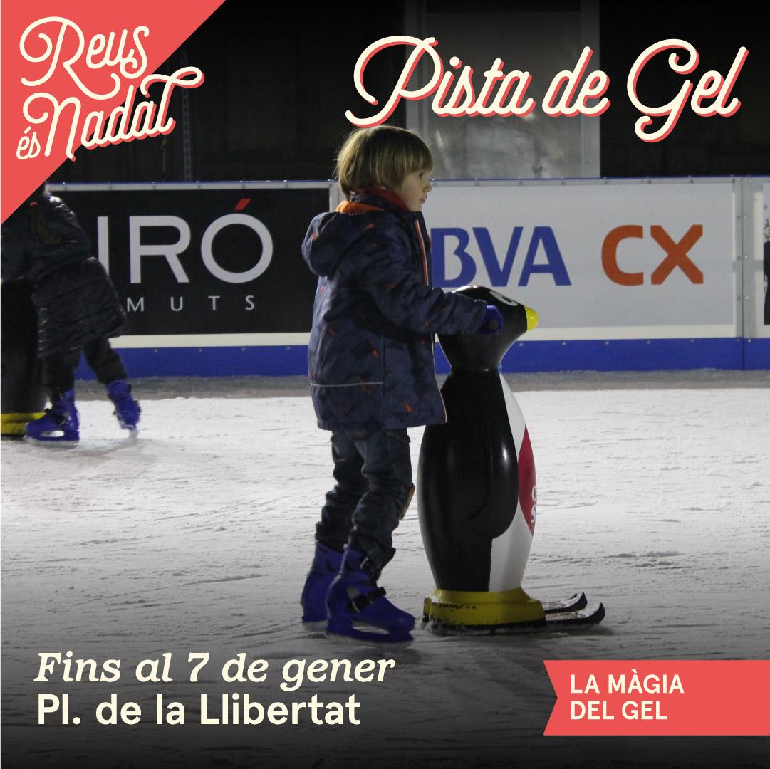 Pista de patinatge sobre gel