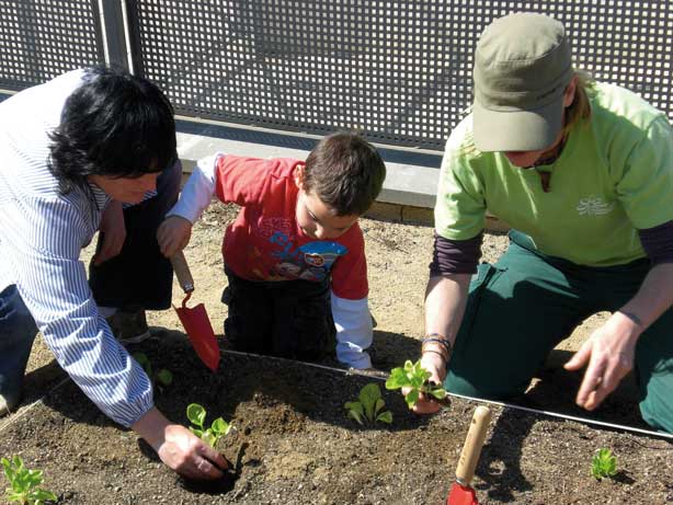 Creación de un huerto en una escuela de la ciudad.