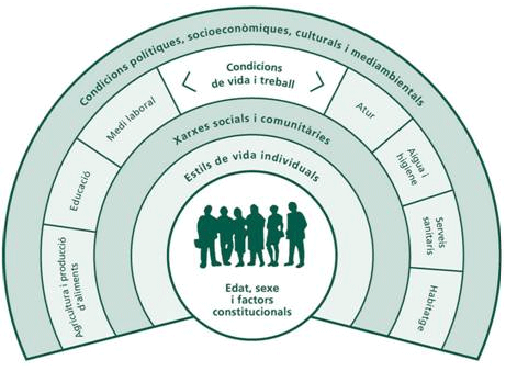 Condicionados sociales de la salud