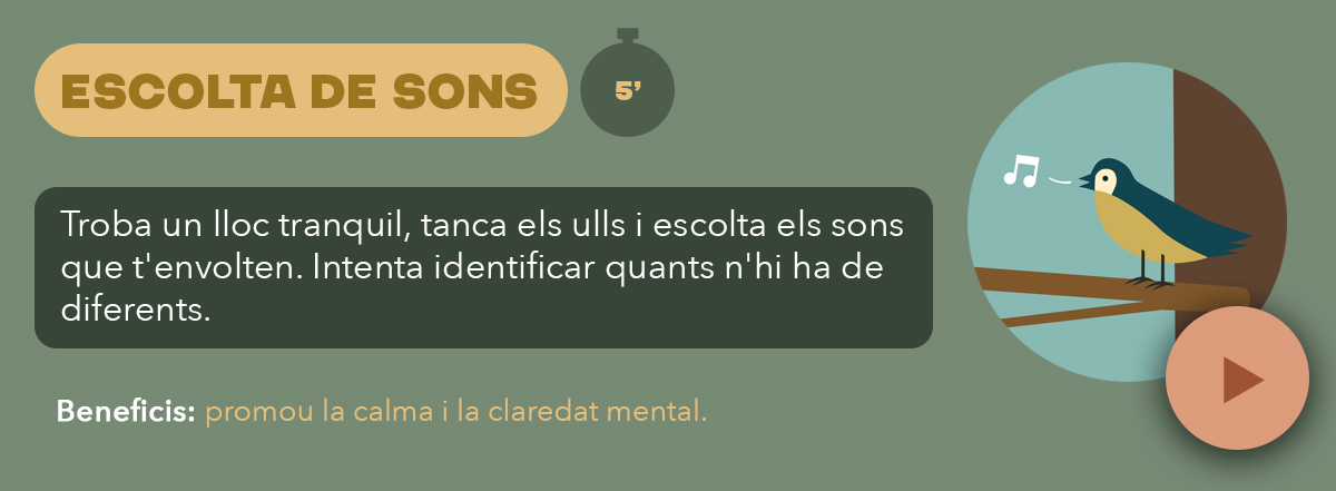 Reprodueix Escolta els sons