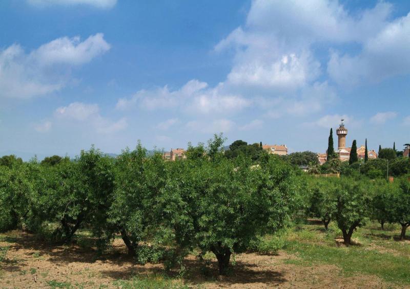 Passeig que voreja l'Institut Pere Mata.