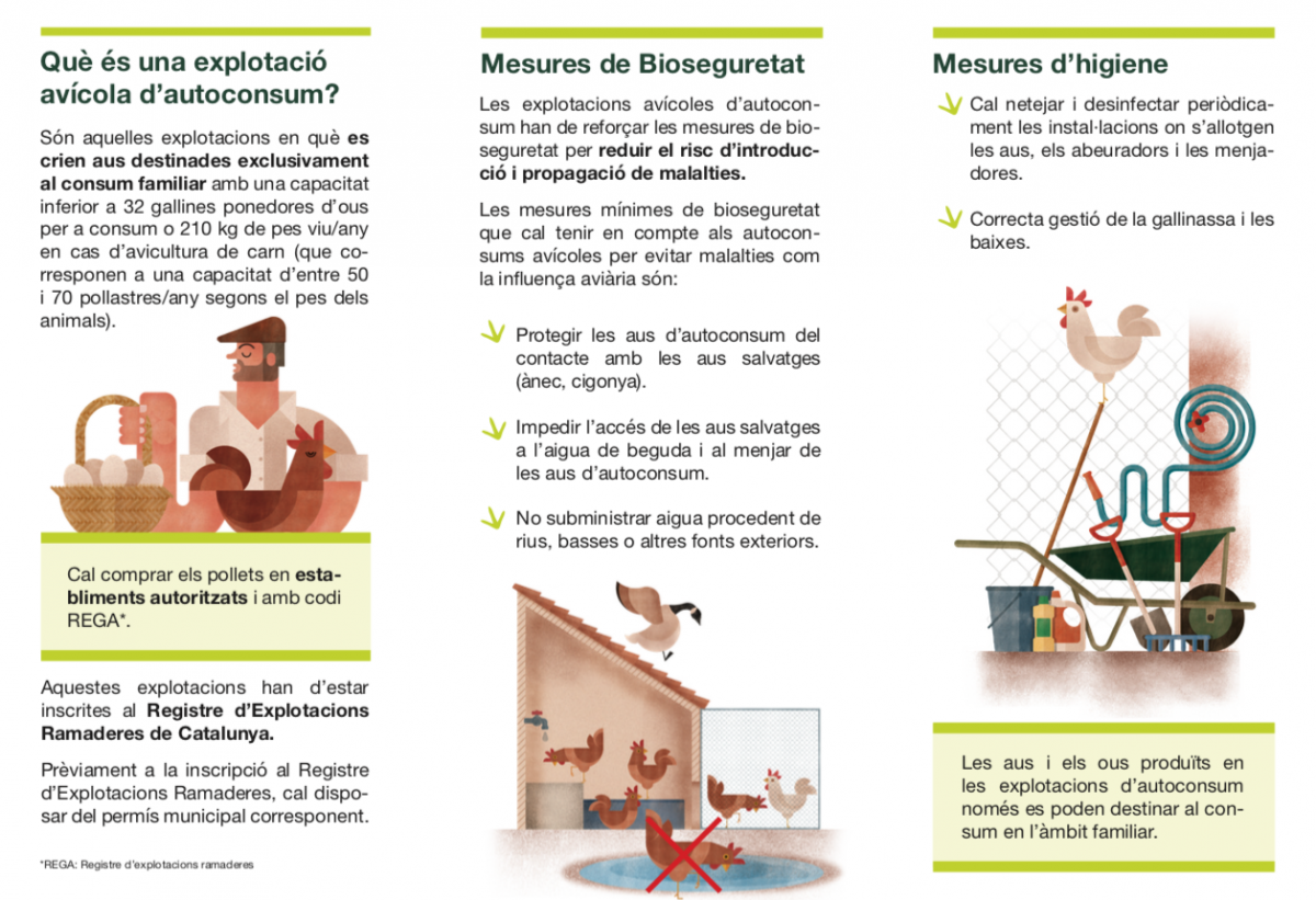 informació i consells sobre l'explotació avícola d'autoconsum