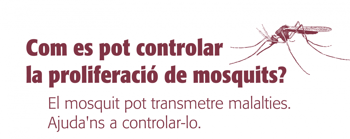 Com es pot prevenir la proliferació de mosquits?