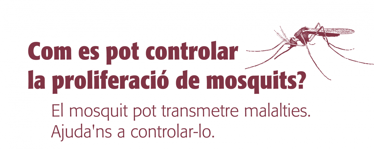 ¿Cómo prevenir la proliferación de mosquitos?