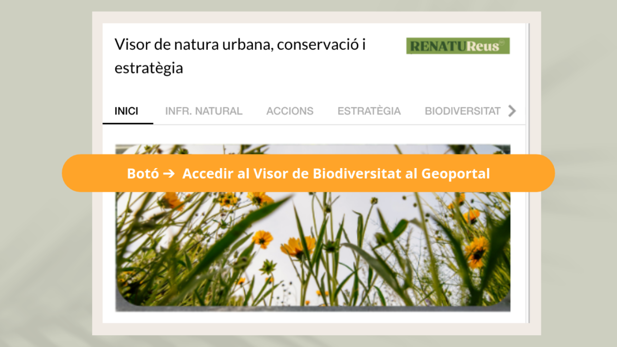 Captura de pantalla del visor de Biodiversitat que enllaça amb el Geoportal