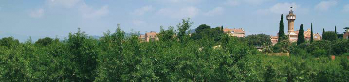 L'Institut Pere Mata entre camps de conreu