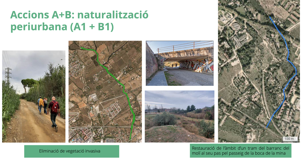Barranc del Molí