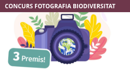 Participa al concurs de fotografia ReusBiodiversitat2024