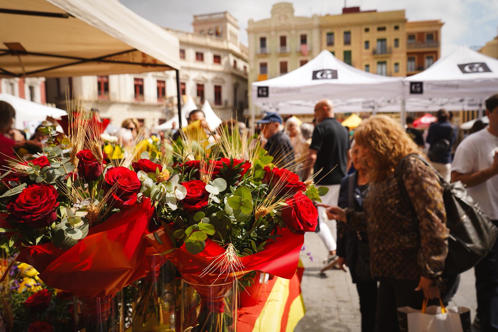 Diada de Sant Jordi 2026
