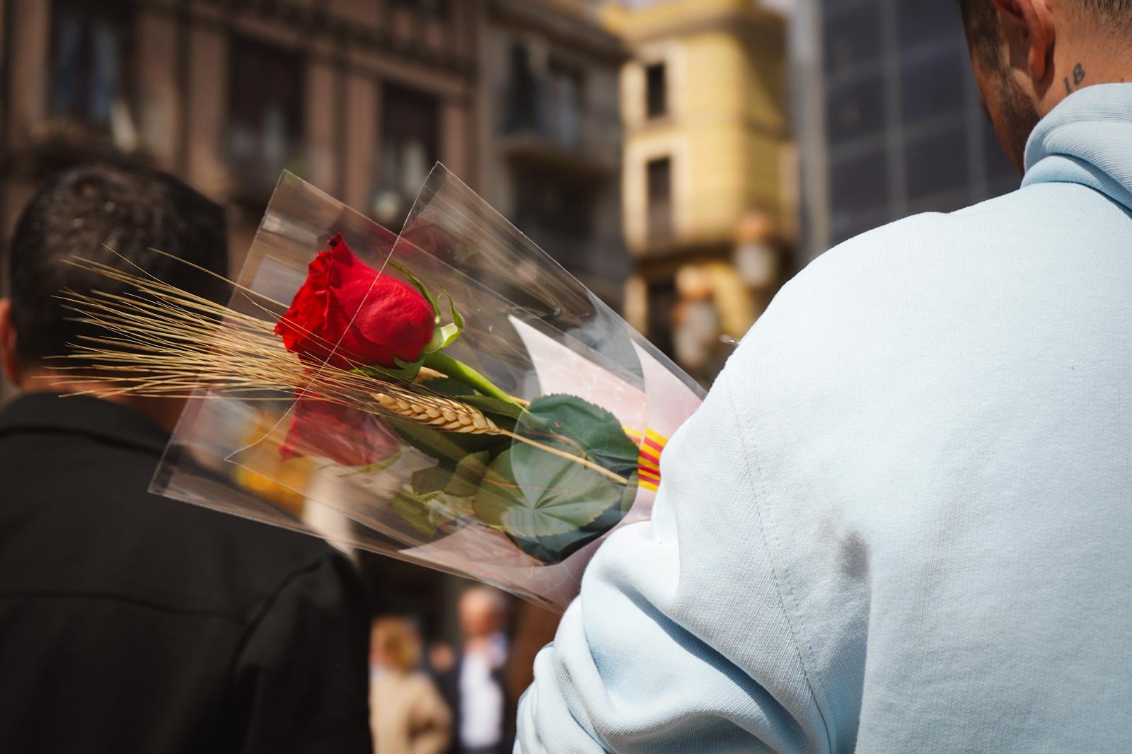 Diada de Sant Jordi 2026
