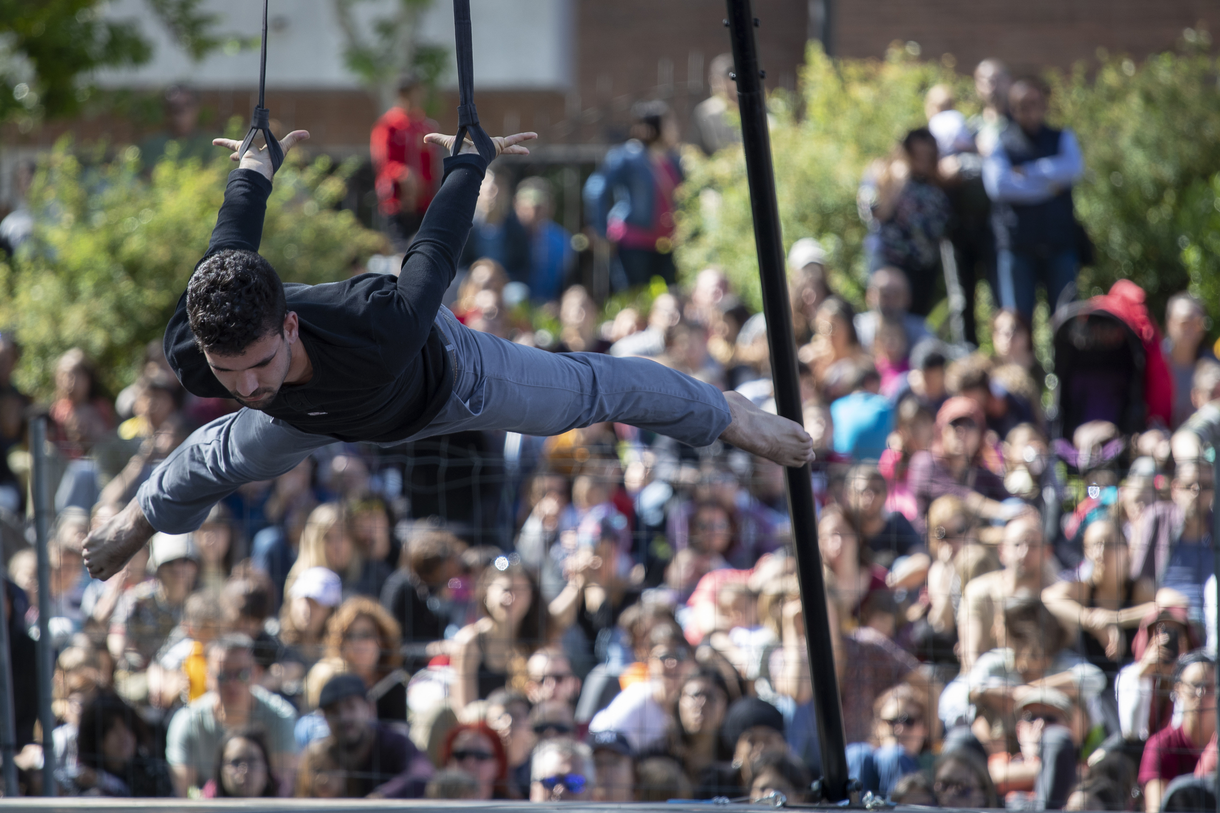 Trapezi 2018