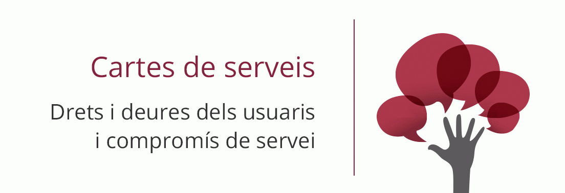 Accedeix a Cartes de serveis