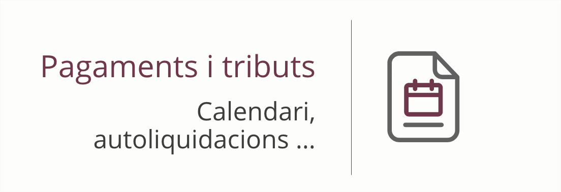 Accedeix a Pagaments i tributs
