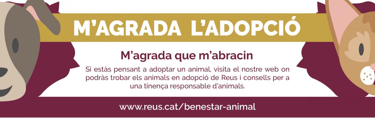 Accedeix a Adopció d'animals. Adopta Benestar Animal