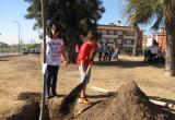 Plantada d'arbres apadrinada pel Consell d'Infants