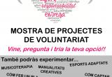 Cartell de la primera mostra de projectes socials de voluntariat