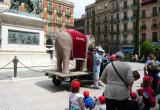 L'elefant del Trapezi, ahir a la plaça Prim amb un grup d'infants