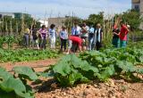 Visita a l'hort urbà municipal del barri de Sol i Vista i Immaculada.