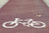 Carril bici