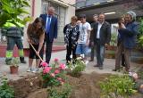 L’Ajuntament amplia a l’escola Joan Rebull la plantació de roserars a les escoles