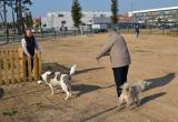 Foto de l'espai d'higiene per a gossos del barri Juroca