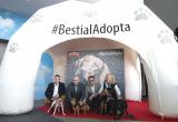 Foto presentació fira Bestial 2019 Foto presentació fira Bestial 2019