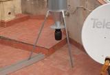 Dispensadors de pinso esterilitzant per a coloms