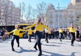 Foto de la gravació de la flashmob durant la festa de presentació dels nous busos Foto de la gravació de la flashmob durant la festa de presentació dels nous busos