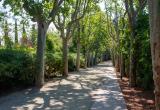 Passeig de la Boca de la Mina