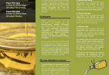 Base premis CDO