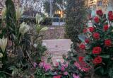Placa en record de les Víctimes de l'Holocaust a la plaça de la Llibertat