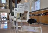 Exposició itinerant sobre Fortuny a la Biblioteca Xavier Amorós