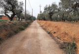 Imatge del camí de la Sena