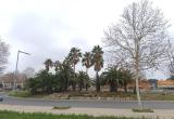 Rotonda avinguda de Riudoms