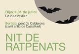 Cartell de la Nit dels raptenats