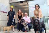 Roda de premsa per presentar l'accés d'animals de companyia a les oficines d'atenció