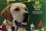 Cartell molt més que un gos Cartell molt més que un gos