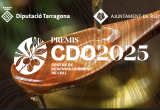 Imatge Premis CDO 2026
