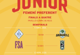 Cartell finals femení bàsquet