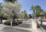 Projecte de reurbanització de la zona verda davant la Biblioteca Central Xavier Amorós. Signar: GYS ARQUITECTURA