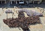 Hola, Sant Pere! 2026