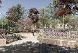 Projecte de reurbanització de la zona verda davant la Biblioteca Central Xavier Amorós. Signar: GYS ARQUITECTURA