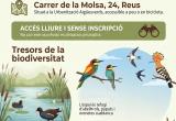 Cartell visita Basses del Pedret Cartell visita Basses del Pedret
