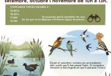 Cartell visites a les Basses del Pedret els dissabtes de tardor