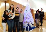 Arbre de Nadal de Benestar Arbre de Nadal de Benestar