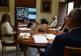Ple telemàtic