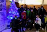 Arbre de Nadal Benestar Social