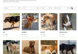 Imatge web benestar animal Imatge web benestar animal