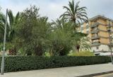 Enllumenat públic a reparar a la plaça Morlius