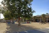 Pati de l'Escola Bressol Municipal L'Olivera Pati de l'Escola Bressol Municipal L'Olivera